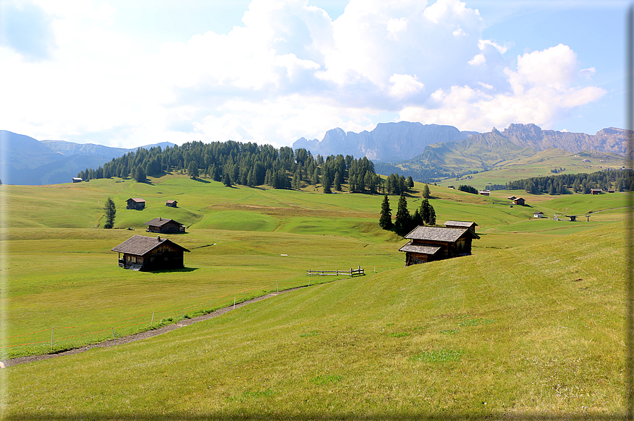 foto Alpe di Siusi